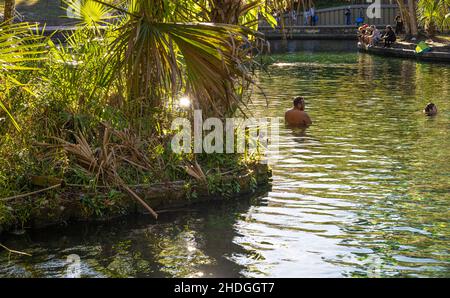 Menschen genießen die smaragdgrünen Quellen, die den Wekiwa River im Wekiwa Springs State Park in der Nähe von Orlando in Apopka, Florida, speisen. (USA) Stockfoto