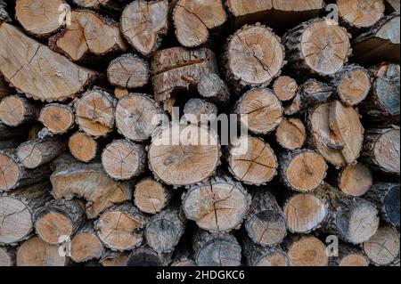 Ein Haufen Brennholz trocknet vor dem Winter Stockfoto