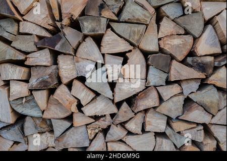 Ein Haufen Brennholz trocknet vor dem Winter Stockfoto