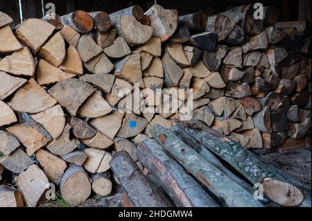 Ein Haufen Brennholz trocknet vor dem Winter Stockfoto