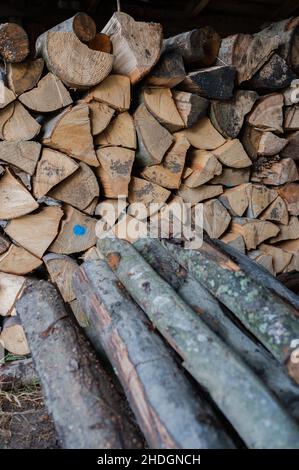 Ein Haufen Brennholz trocknet vor dem Winter Stockfoto