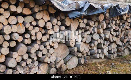 Ein Haufen Brennholz trocknet vor dem Winter Stockfoto