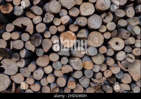 Ein Haufen Brennholz trocknet vor dem Winter Stockfoto