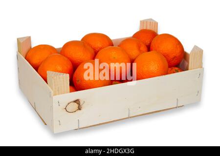 Tandarine, Obstkiste, Clementine, Mandarinen, Obstkisten, Clementinen Stockfoto