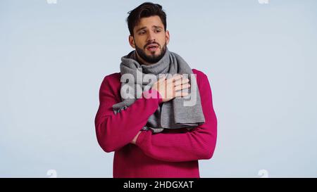 Bärtiger und kranker Mann in Pullover und Schal isoliert auf blau Stockfoto