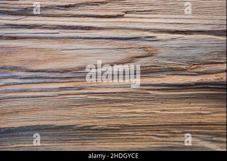 Frisches Holz log Textur Hintergrund. Europäische Asche, Fraxinus excelsior Stockfoto