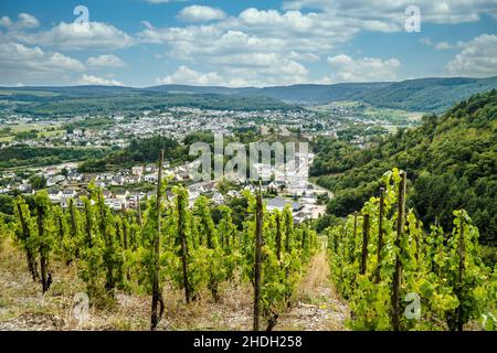 rheinland-pfalz, trittenheim, rheinland-pfalz Stockfoto