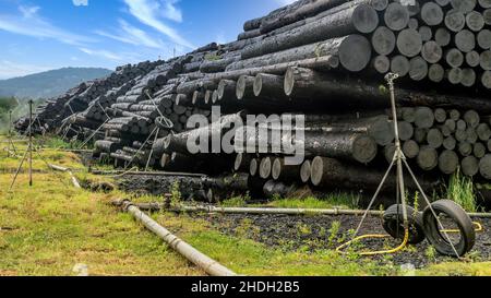 Log, Bewässerung, Protokolle Stockfoto