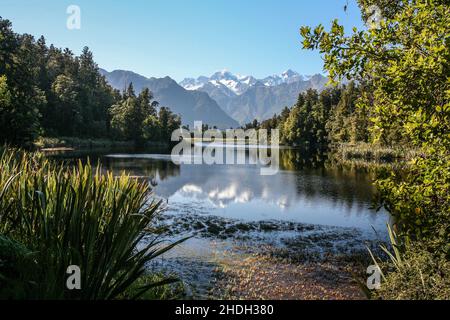 Fox Glacier ist ein gemäßigter Gletscher in den südlichen Alpen, Neuseeland. Stockfoto