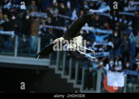 Rom, Italien. 06th Januar 2022. Lazio's Maskottchen Adler Olimpia fliegt während des Serie A Spiels zwischen SS Lazio und dem FC Empoli im Stadio Olimpico am 6. Januar 2022 in Rom, Italien, über das Stadion. (Foto von Giuseppe Fama/Pacific Press) Quelle: Pacific Press Media Production Corp./Alamy Live News Stockfoto