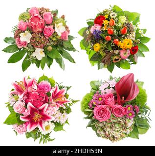 Bouquet rosa Blumen. Protea, Orchidee, Hortensien und grünes Laub auf weißem Hintergrund Stockfoto