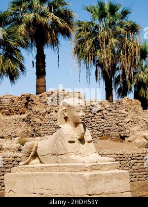 luxor, Sphinx, luxors, Sphinxs Stockfoto