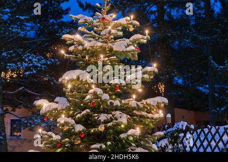 weihnachten, weihnachtsbaum, geschmückt, fröhliche weihnachten, Weihnachten, weihnachten, weihnachtsbäume, Dekorateds Stockfoto