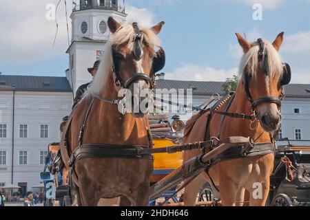 salzburg, Pferdekutsche, salzburgs, Pferdekutschen, Postkutsche Stockfoto