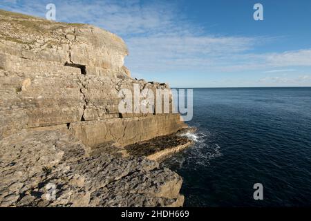 Cliffs at the Tilly Whim Caves, Durlston Country Park, Swanage, Isle of Purbeck, Dorset, England. Jurassic Coast Stockfoto