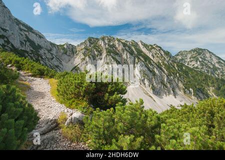 Trail, bayern, berchtesgadener Land, Trails, bavarias, berchtesgadener landet Stockfoto