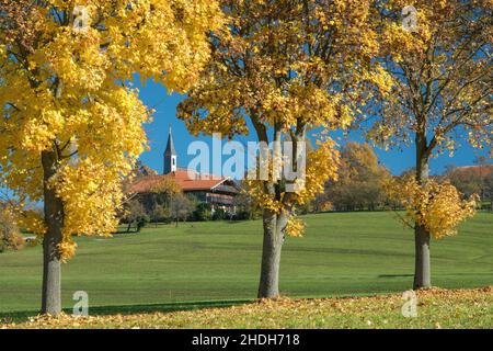 bayern, berchtesgadener Land, steinhoegl, bavarias, berchtesgadener Länder, Steinhoegls Stockfoto