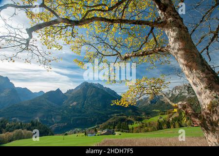 berchtesgadener Land, berchtesgadener alpen, berchtesgadener Land Stockfoto