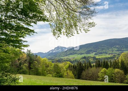 bayern, berchtesgadener Land, bayern, berchtesgadener Land Stockfoto