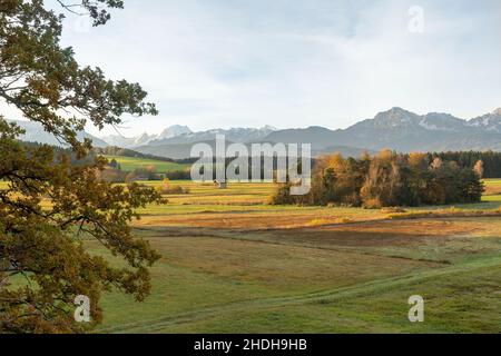 berchtesgadener Land, berchtesgadener alpen, berchtesgadener Land Stockfoto