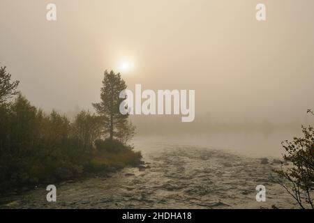 see, neblig, härjedalen, Femundsmarka Nationalpark, Seen, Nebel Stockfoto