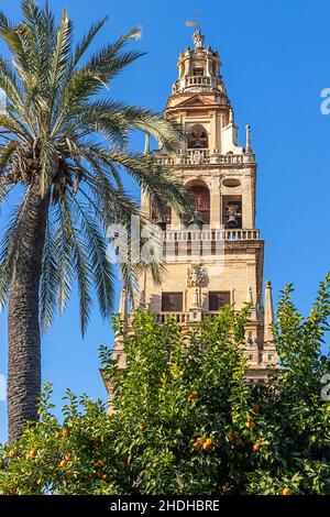 CORDOBA ANDALUCIA SPANIEN DER GLOCKENTURM DER MOSCHEE-KATHEDRALE ODER MEZQUITA VOM HOF DER ORANGEN GESEHEN Stockfoto