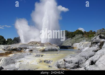 geysir, fontaine, rotorua, Geysire, fontaines, Rotoruas Stockfoto