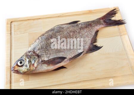 Gemeinsame Flussbrassen auf Schneidebrett isoliert auf weißem Hintergrund. Süßwasserfische Stockfoto