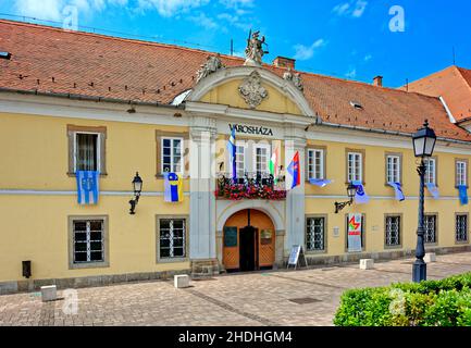 Rathaus, vác, Rathaus, vács Stockfoto