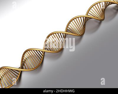 Doppelhelix, dna-Strang, Doppelhelixe, dna-Stränge Stockfoto