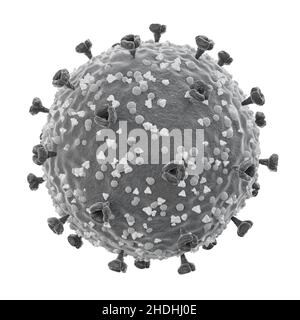 COVID-19 . Struktur des Corona-Virus . Spike Glykoprotein und Hüllprotein und Membranprotein . Feine detaillierte Textur . Schwarz-weiße Farbe .