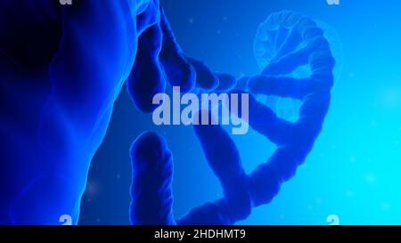 Genetische Forschung, dna, dna-Strang, genetische Forschung, dnas, dna-Stränge Stockfoto