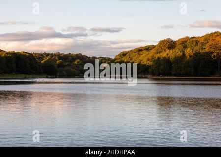 LEEDS, GROSSBRITANNIEN - 2. OKTOBER 2019. Roundhay Park Leeds, Blick über den Waterloo Lake im Herbst. Stockfoto