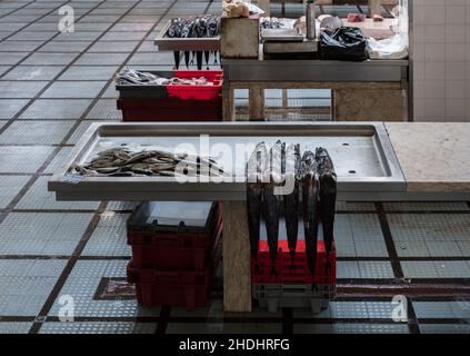 Fischmarkt, Fischverkauf, Fischmärkte Stockfoto