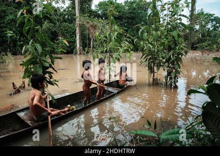 Indigene Kinder rudern den Amazonas entlang, Ecuador Stockfoto