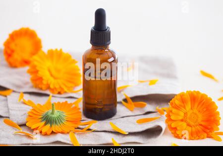 calendula, Aromatherapieöl, Calendulas, Aromatherapieöle Stockfoto
