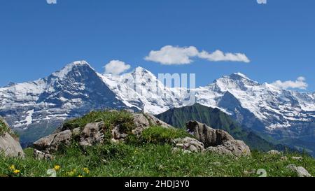 Berner Alpen Stockfoto