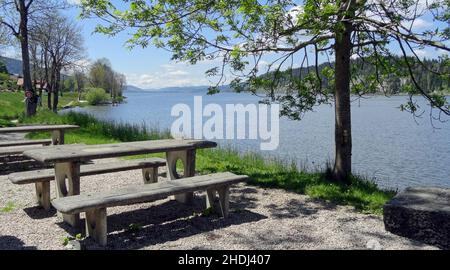 Raststätte, lac de joux, vallee de joux, Raststätte Stockfoto