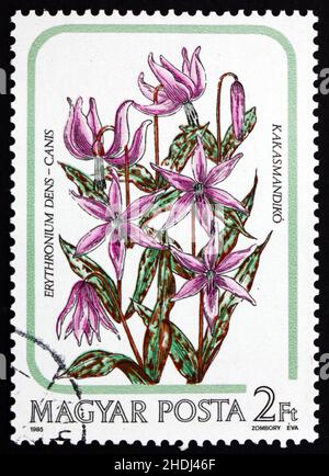 UNGARN - UM 1985: Eine in Ungarn gedruckte Briefmarke zeigt Hundszahn-Violett, Erythronium Dens-canis, Blume, um 1985 Stockfoto