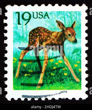 VEREINIGTE STAATEN von AMERIKA - UM 1991: Eine in den USA gedruckte Briefmarke zeigt Fawn, Young Deer, um 1991 Stockfoto