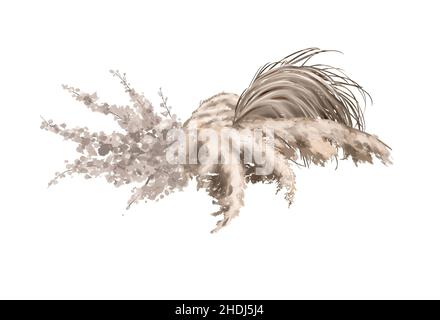 Aquarell Pampas Gras isoliert auf einem weißen Hintergrund. Bouquet von trockenen Kräutern. Modische Einrichtung Stockfoto