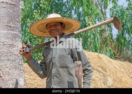 Landwirt, thailand, Bauern, thailänder Stockfoto