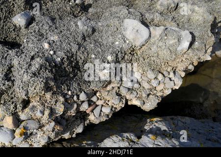 Erhöhter Strand mit uralten höheren Meeresspiegel, wo der Strand durch Konkretion von abgerundeten Kieselsteinen, Sandbrekzien und Muscheln gebildet wird Stockfoto