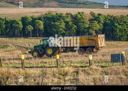 Großer John Deere 6215R Traktor, der einen 12 Tonnen schweren Kippanhänger schleppt Stockfoto