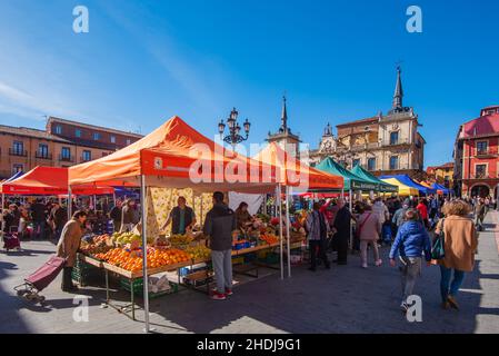 Leon, Spanien, 3. Februar 2019. Blick auf den traditionellen Obst- und Gemüsemarkt auf dem Hauptplatz von Leon. Stockfoto