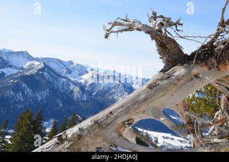 bayerische alpen, süddeutschland, süddeutschland Stockfoto