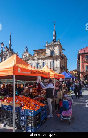 Leon, Spanien, 3. Februar 2019. Blick auf den traditionellen Obst- und Gemüsemarkt auf dem Hauptplatz von Leon. Stockfoto