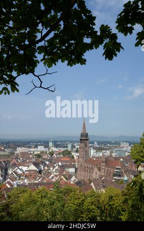 freiburg im breisgau, freiburger Münster, freiburg im Breisgaus, freiburger Minster Stockfoto