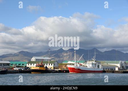 Fischereihafen, höfn, Fischereihäfen Stockfoto