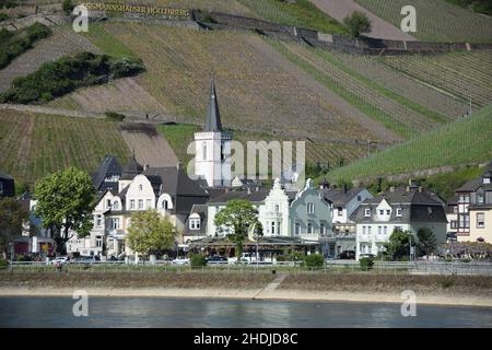 rüdesheim am rhein, assmannshausen, hessen, rüdesheim am rheins, assmannshausens, hesses Stockfoto